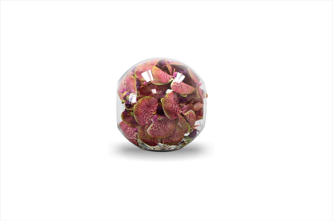 Vase Crosswinds 10" aux orchidées roses
