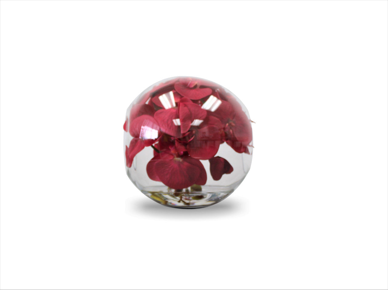 Vase Crosswinds 10" aux orchidées rouges