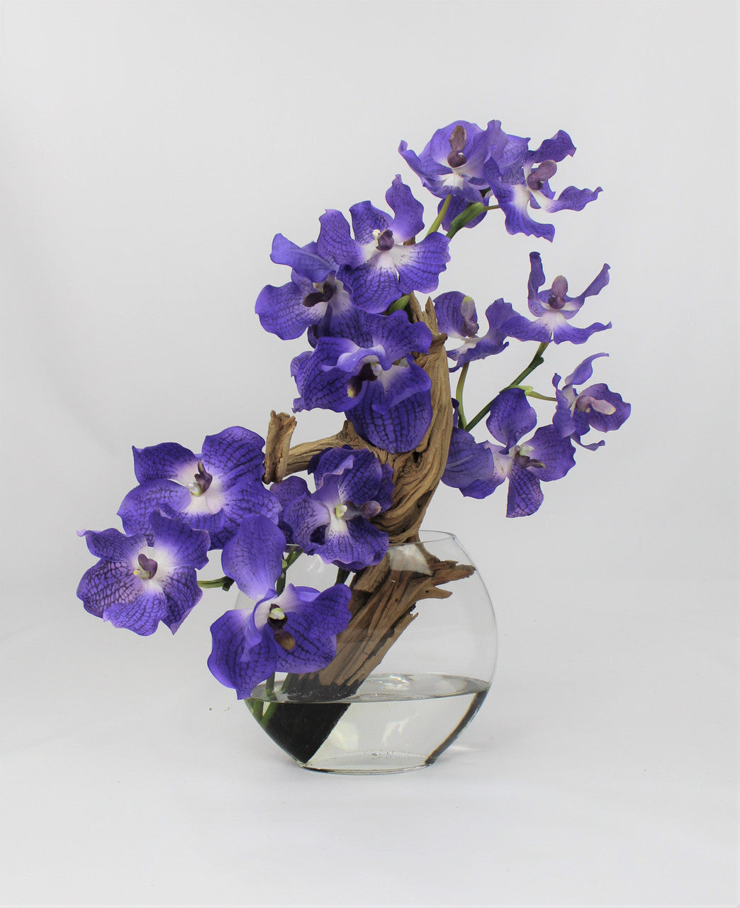 10" Moon vase with purple Vanda orchids