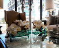 12" Casa Moderna Glass Plate Planter with white orchids