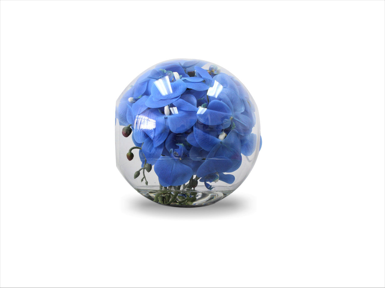 Vase Crosswinds 12" aux orchidées bleues