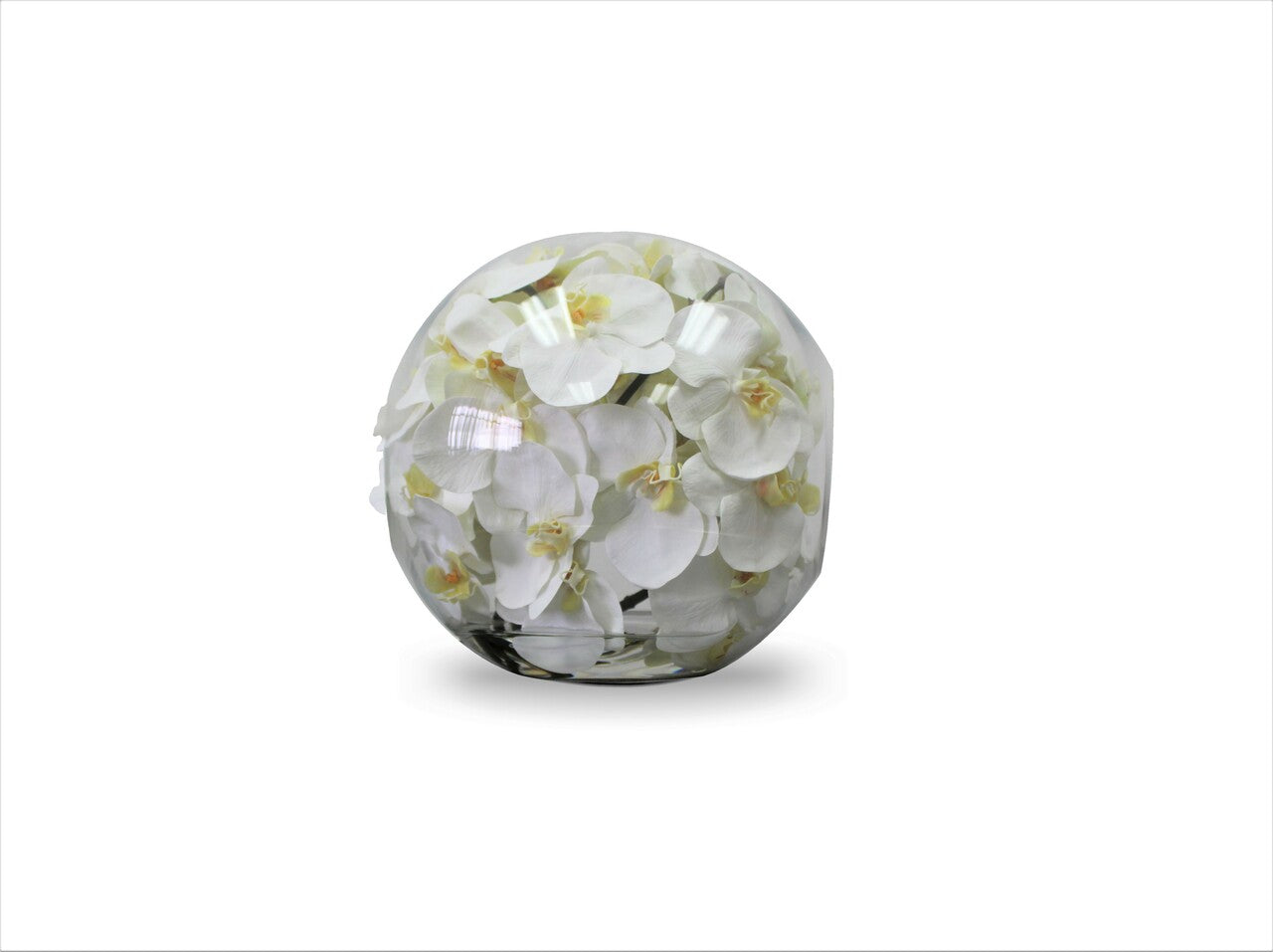 12" Crosswinds vase with white orchids