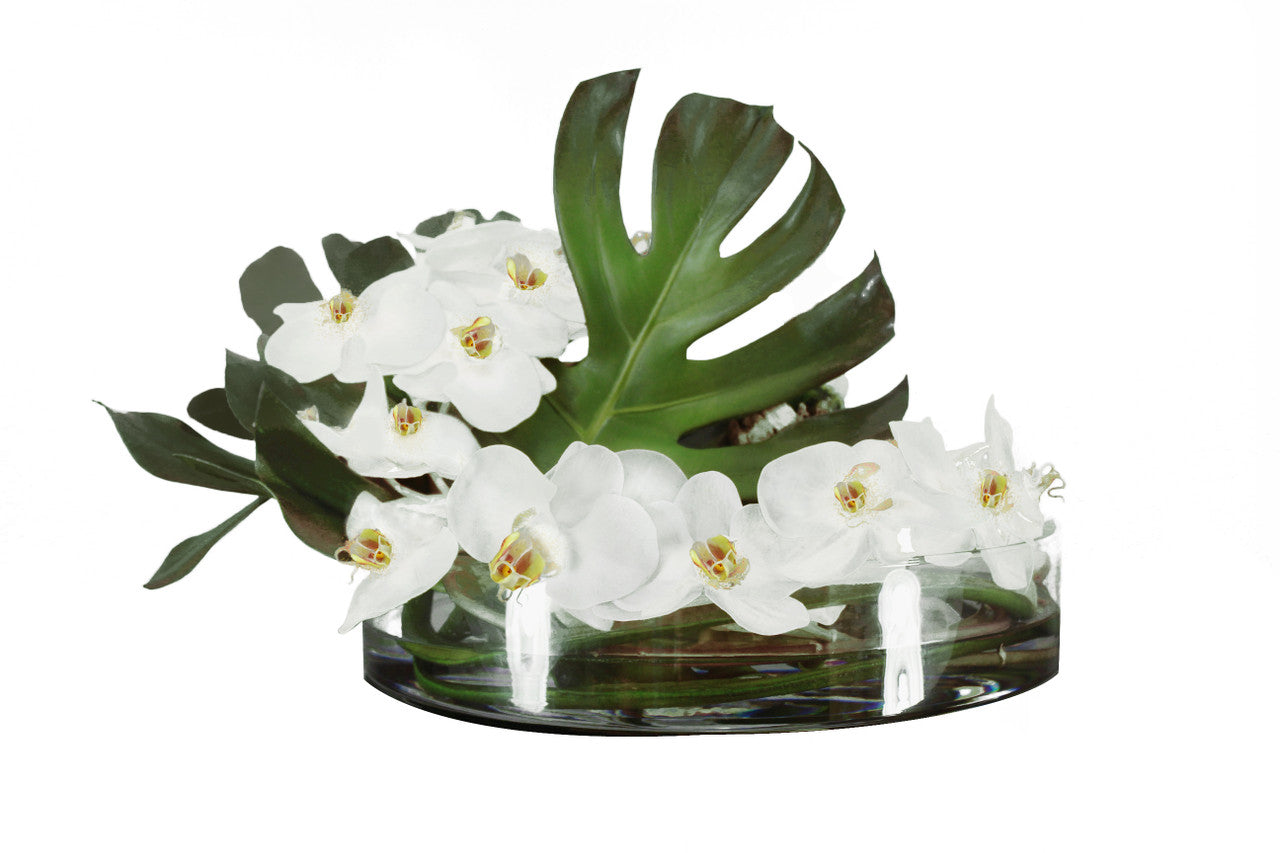 Coupe Heritage 16" à la feuille de Monstera et orchidées blanches