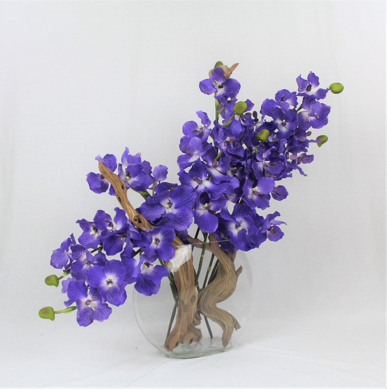 16" Moon vase with purple Vanda orchids