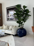 30" Blue  Globe Planter with Fiddle Tree