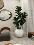 30" Globe Planter with Fiddle Tree