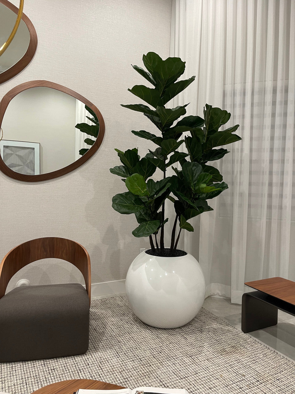 30" Globe Planter with Fiddle Tree