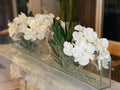 36" Slim Casa Moderna with White Vanda Orchids.