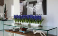 48" Casa Moderna glass plate planter with blue hyacinths