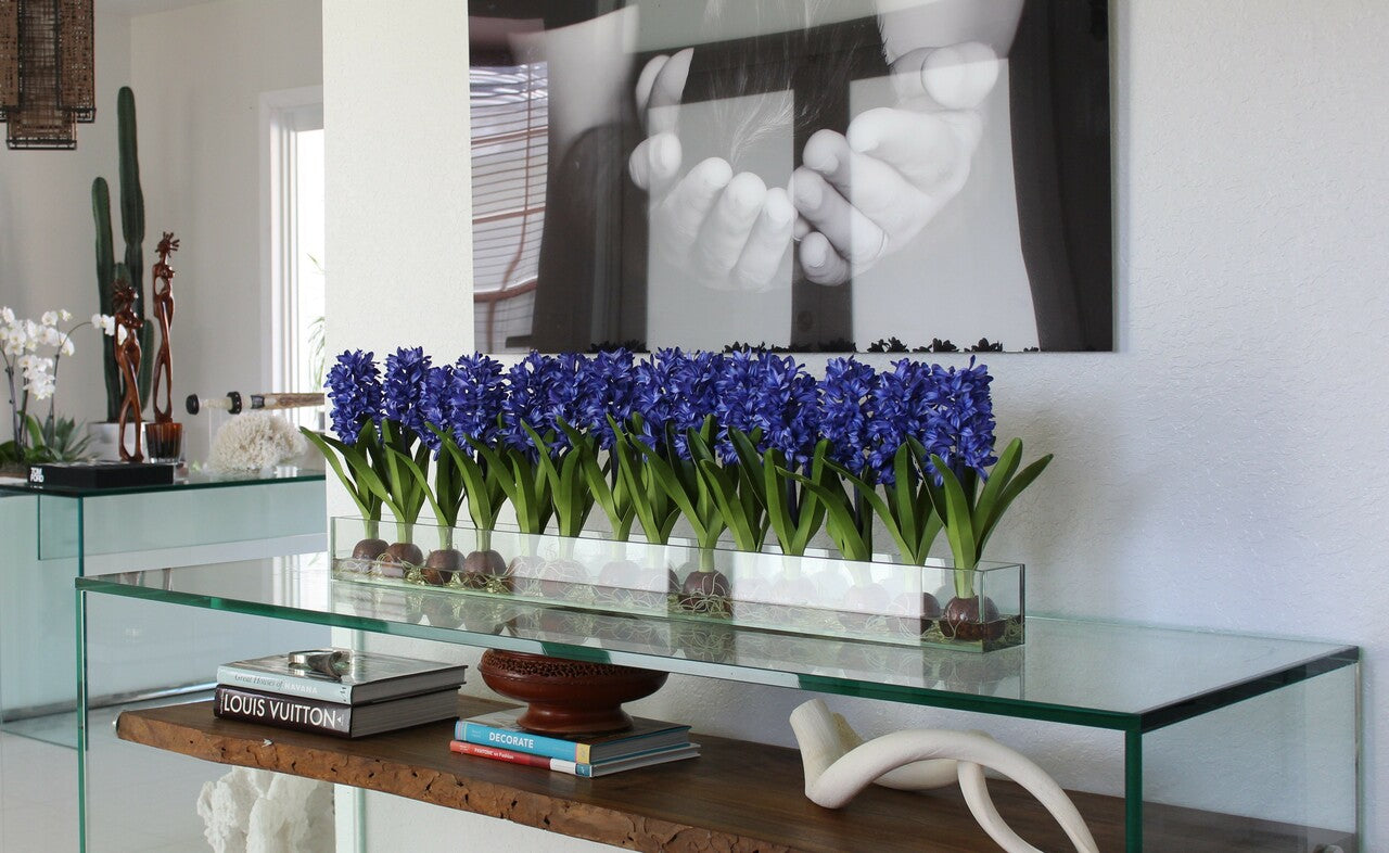 Cache-pot en verre plat Casa Moderna 48" aux jacinthes bleues