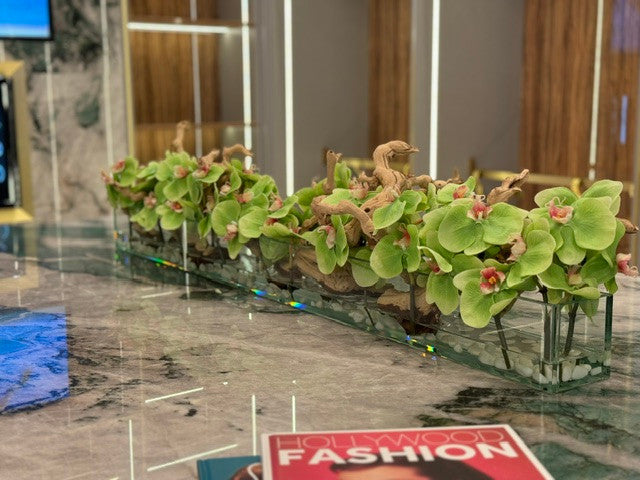 48" Casa Moderna Glass Plate Planter with green Phalaenopsis orchids