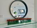48" Skinny Casa Moderna with Orange / Yellow Protea Flowers