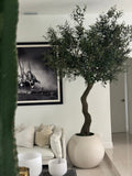 7′ Olive Tree in Matte Beige 30" Globe Planter