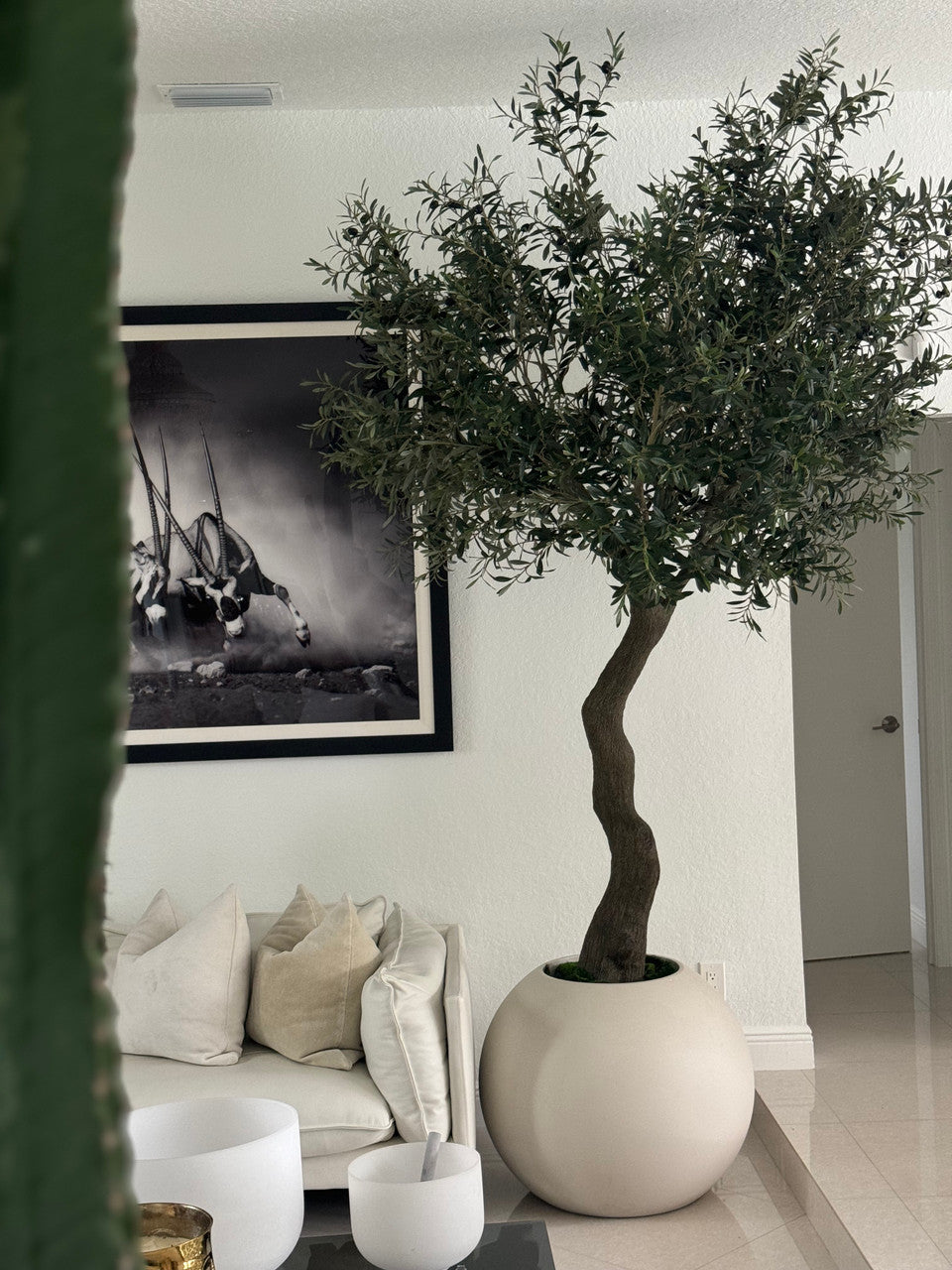 Olive Tree in Matte Beige 30" Globe Planter