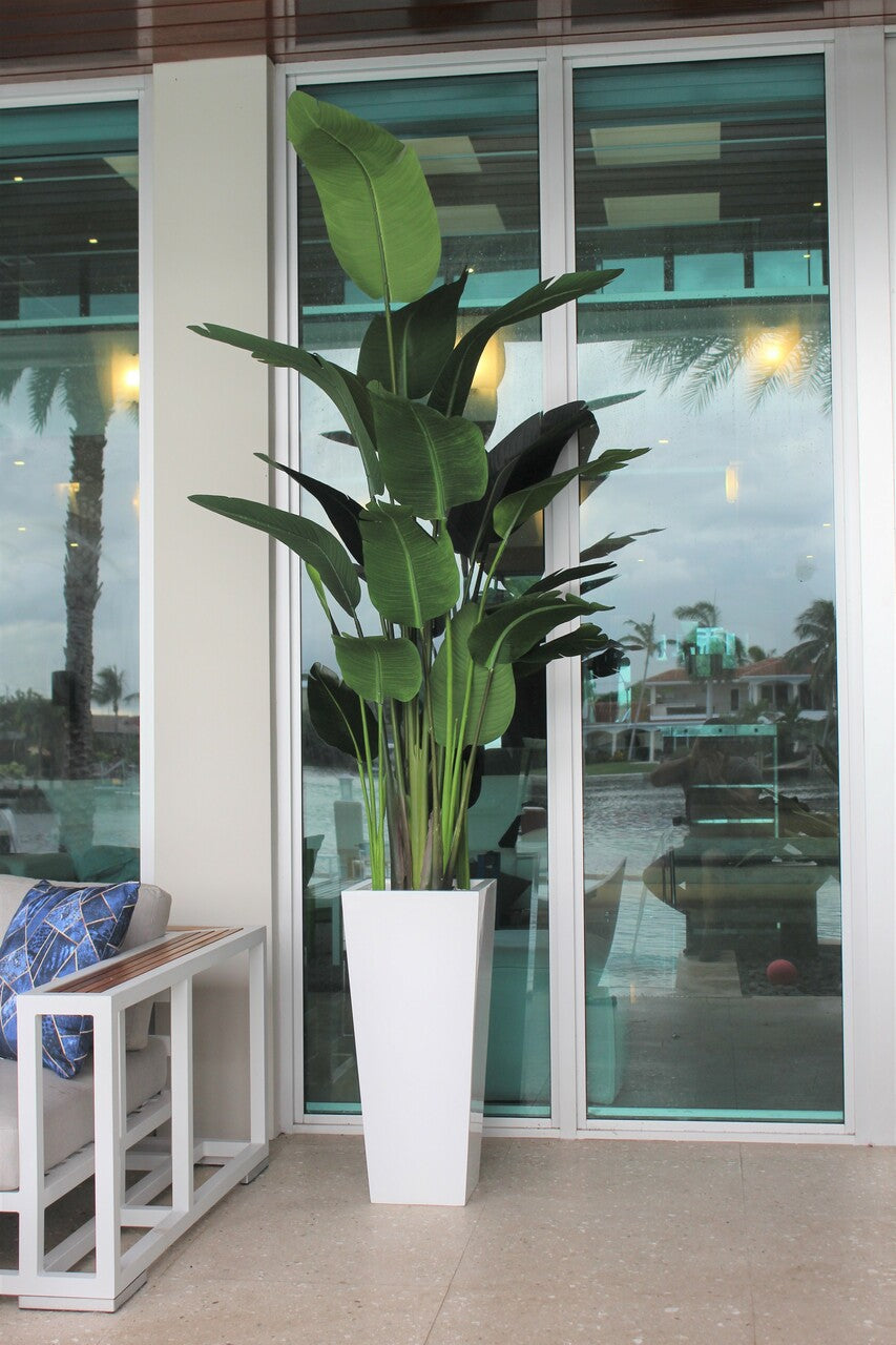 Oiseau du paradis 9 ft avec cache-pot Beau M en blanc brillant