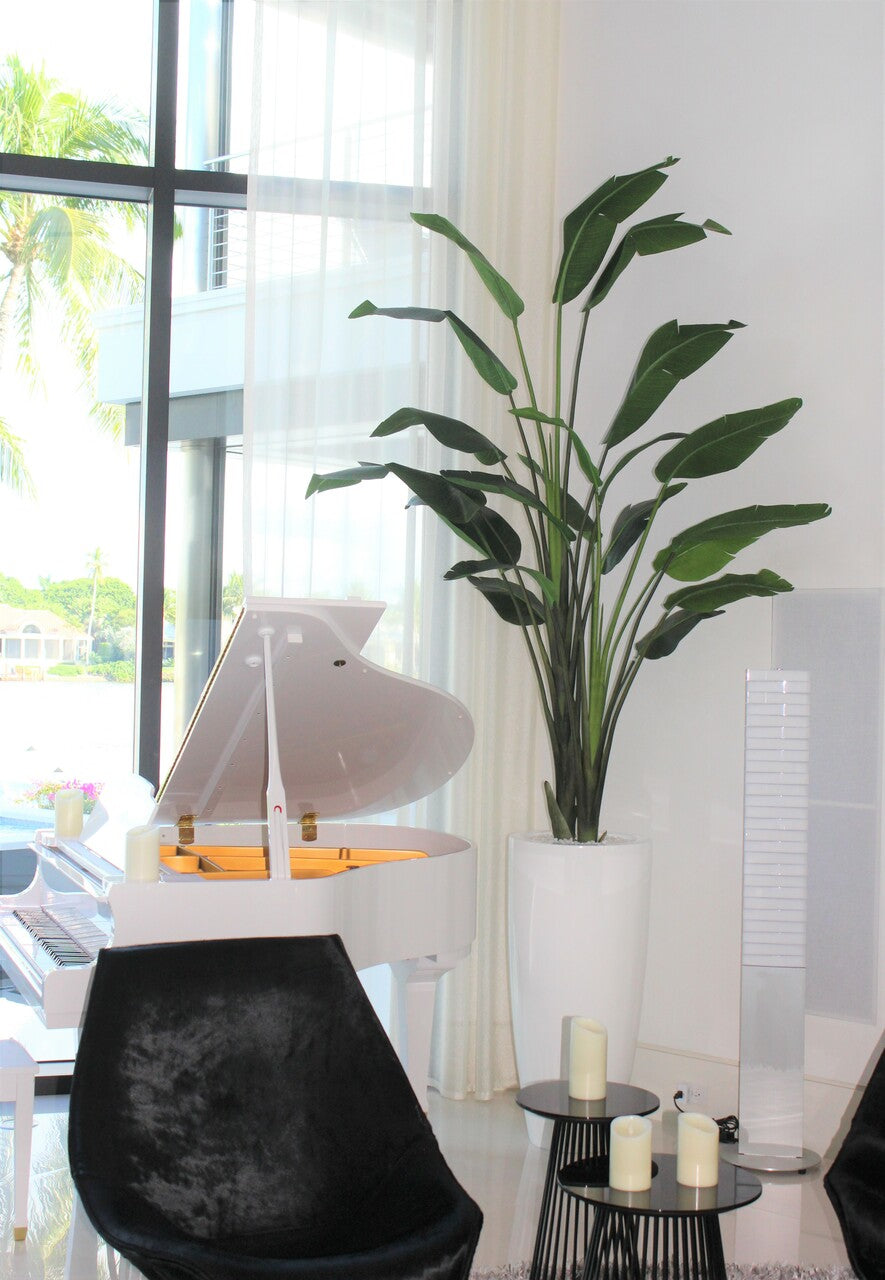 Oiseau du paradis 9 ft avec cache-pot Dax XL