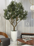 Artificial 98" Olive Tree In Glossy White Ben Planter