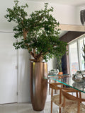 Artificial Black Olive Bonsai Tree in Gold Revolver Planter