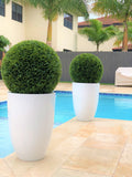 Ben L Fiberglass with 20" Topiary