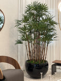 Black Terragona Planter with Lady Palm