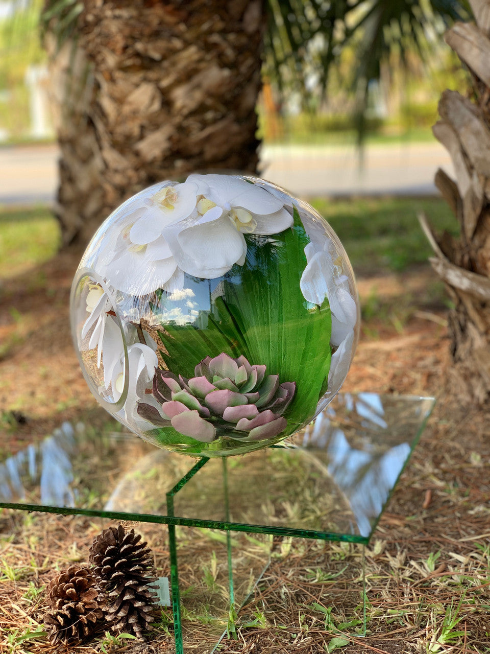 Vase Crosswinds aux orchidées blanches et palmier