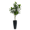 Dax Black Fiberstone Planter with Fiddle Leaf Fig