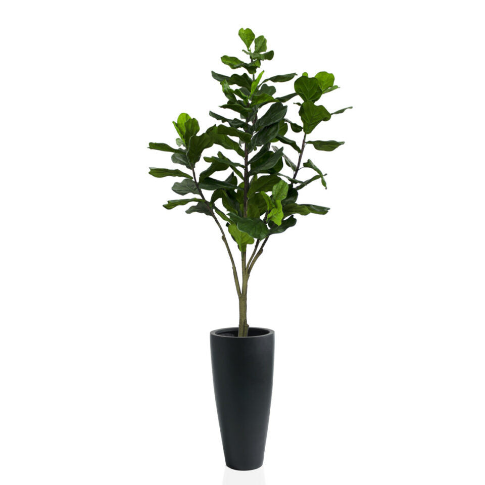 Cache-pot Dax pierre composite noir au ficus lyrata
