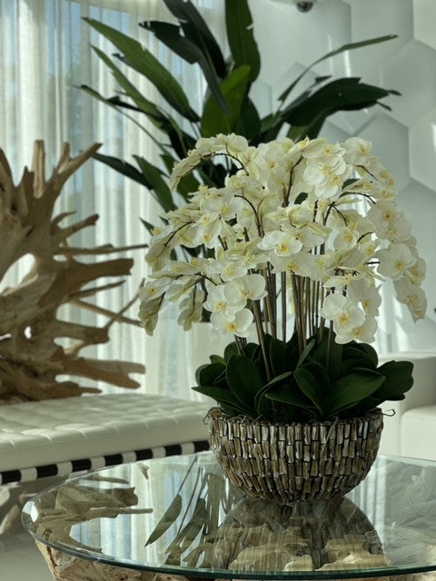Très grand vase nacre aux orchidées blanches retombantes