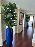 Fiddle Leaf Tree with Glossy Cobalt Blue St. Tropez Planter