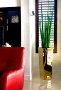 Gold Cube Planter with Snake Grass