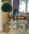 Gold Cube Planters with 20" Topiaries