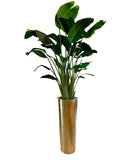 Gold Hammered Planter with Bird of Paradise (7′)