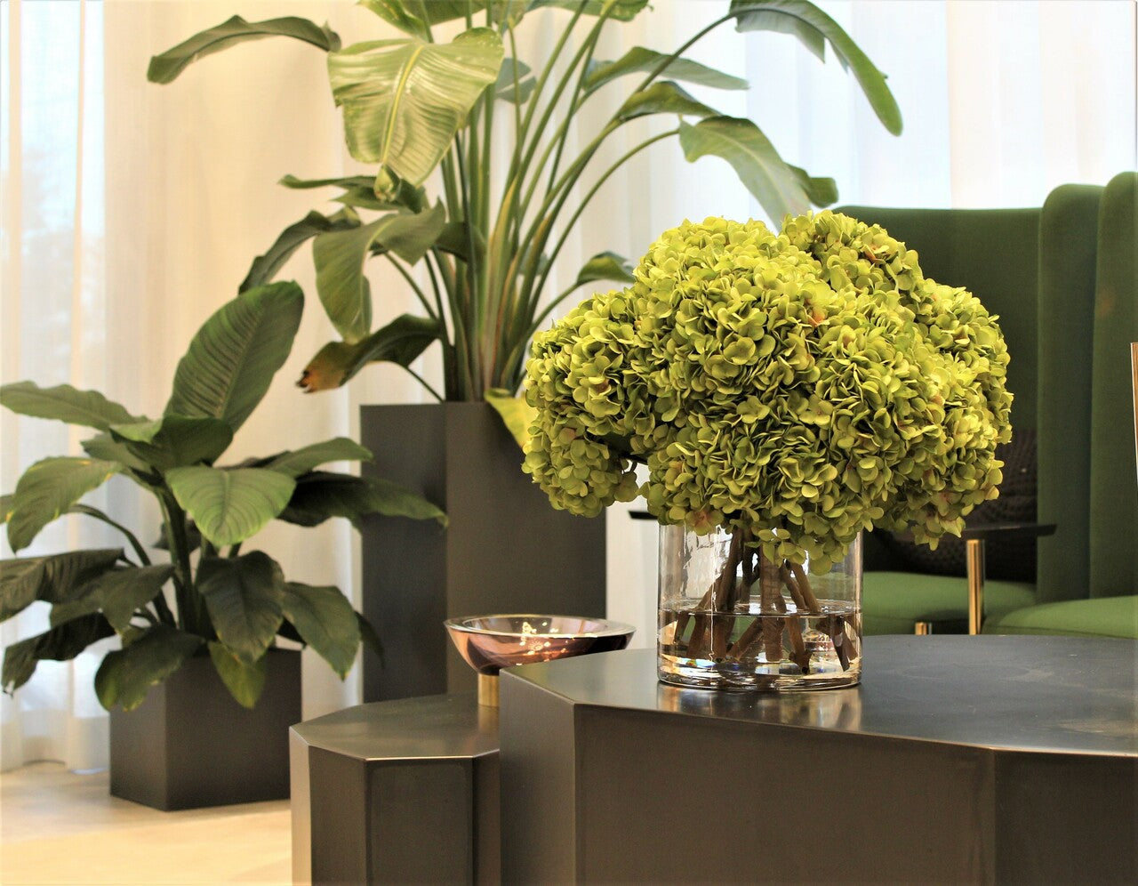 Bouquet d'hortensias verts dans vase cylindre en verre transparent
