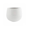 Kevan M Fiberglass Glossy White
