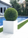 Large Block Fiberglass Planter with 20" Topiary
