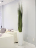 Large Dax Planter with Large Reed Grass