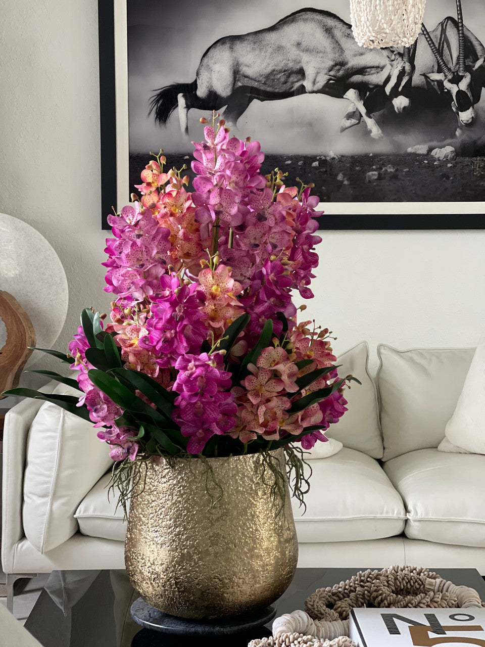 Grande coupe Delaney aux orchidées Mokara mélangées
