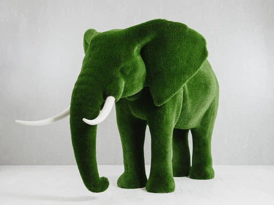 Grand éléphant