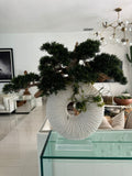 Large Eternity Vase with Trailing Bonsai Tree and Driftwood