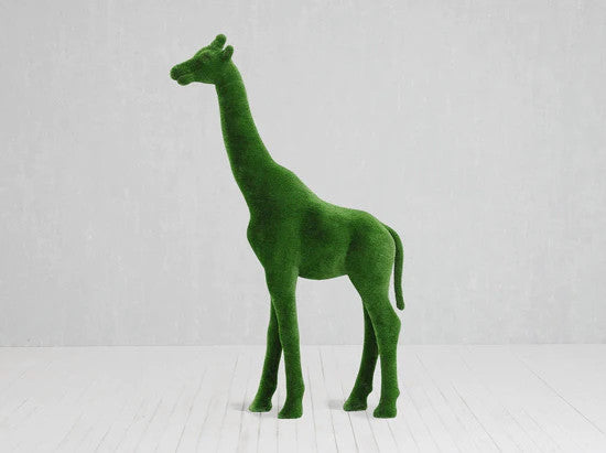 Grande girafe