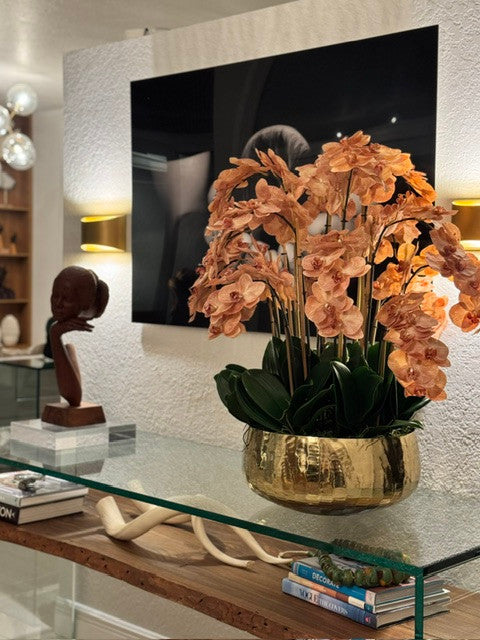 Orchidées brun clair en coupe Roberi dorée