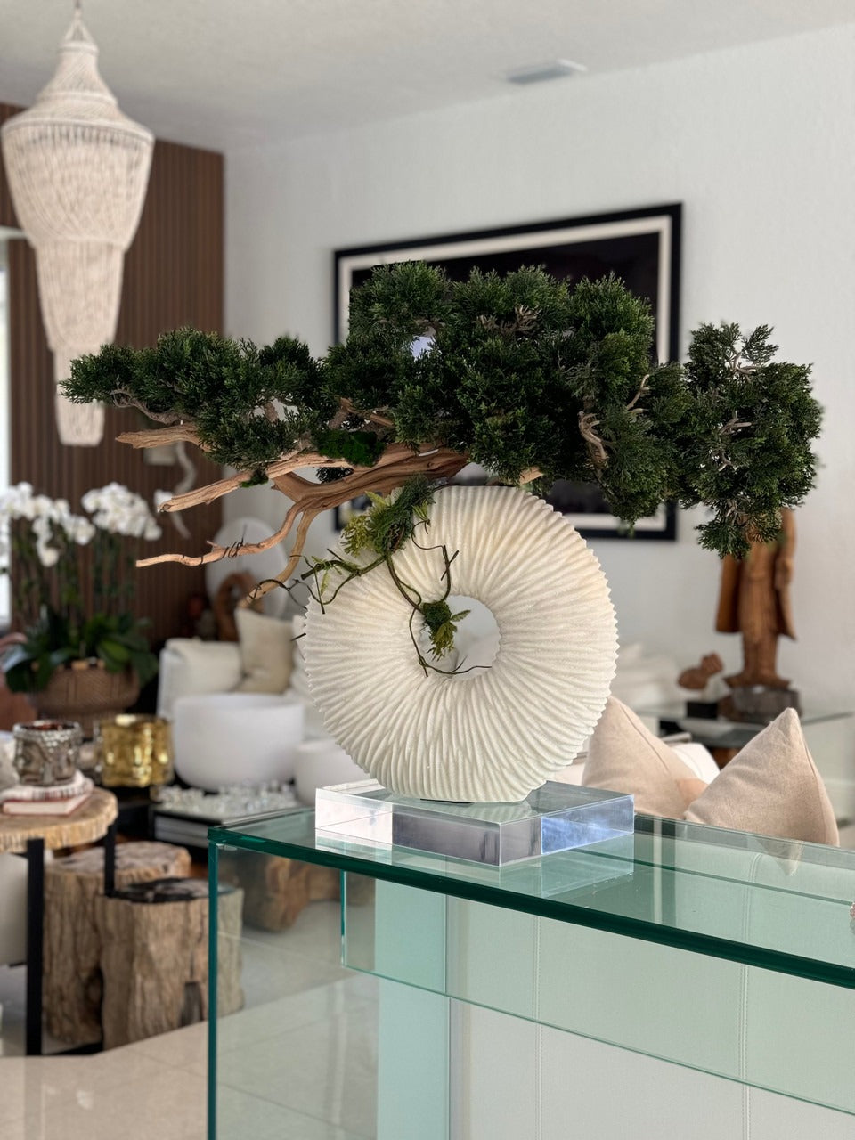 Vase Eternity moyen au bonsaï retombant et bois flotté