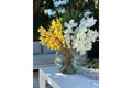 Moon Vase With Yellow Cymbidiums And White Vandas