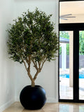 Olive Tree in Matte Black 30" Globe Planter