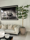 Parthenon Planter with 7′ Shady Lady Tree