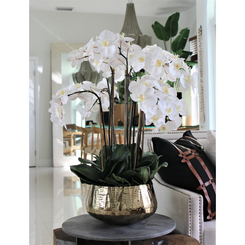 Composition florale d'orchidées Phalaenopsis en cache-pot doré