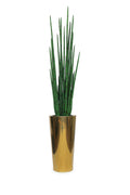 Pure Gold Stainless Steel Tapered Medium Cone with Large Snake Grass Plant