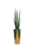 Pure Gold Stainless Steel Tapered Medium Cone with Medium Snake Grass Plant
