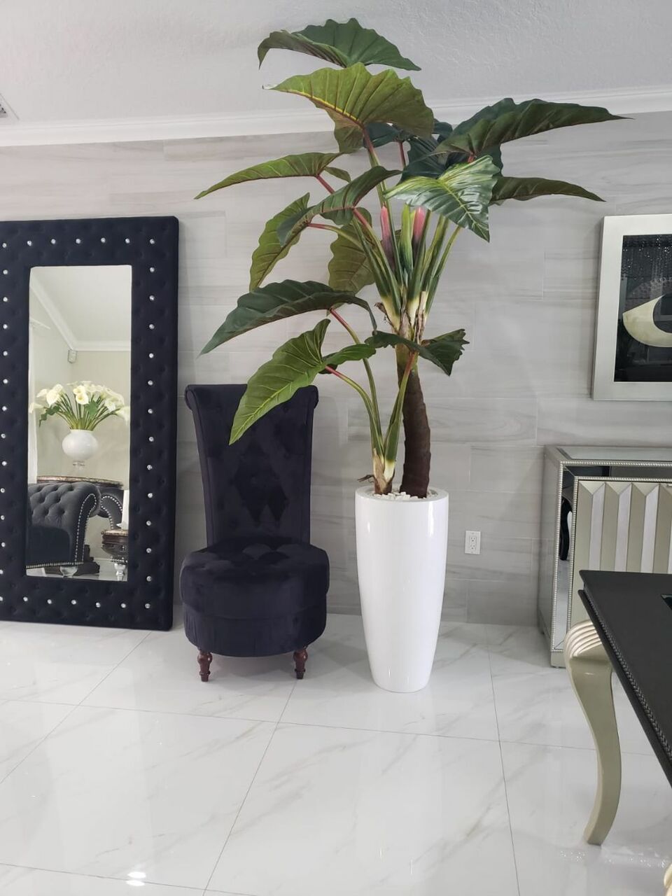 Alocasia Red Prince en cache-pot Dax L blanc brillant