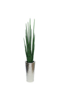 Silver Hammered Stainless Steel Tapered Cone with Large Snake Grass Plant